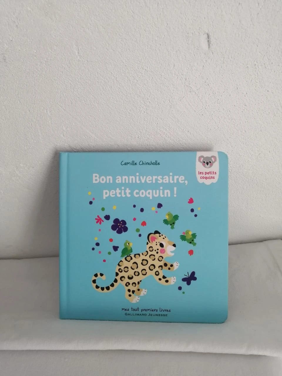 livre enfant - bon anniversaire petit coquin